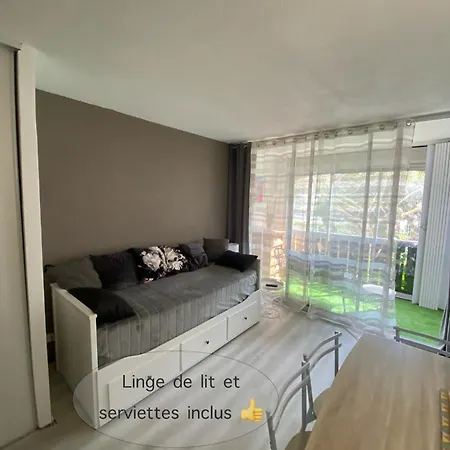 Studio La Baleine Rose Centre Cap D'Agde-3