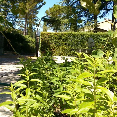Les Verveines de Vaison-3