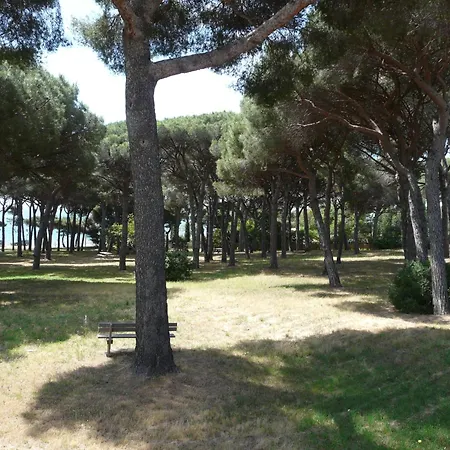 La Casa Mia-2