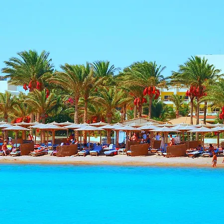 Palm Beach Resort Families And Couples Only-3