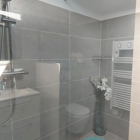 Biscarrosse Bourg - Studio tout confort-3