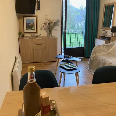 Appartement T2 Jardins de Ramel-2