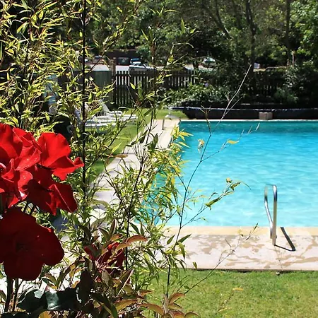 Big Sur River Inn-2