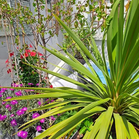 Le Petit Patio-3
