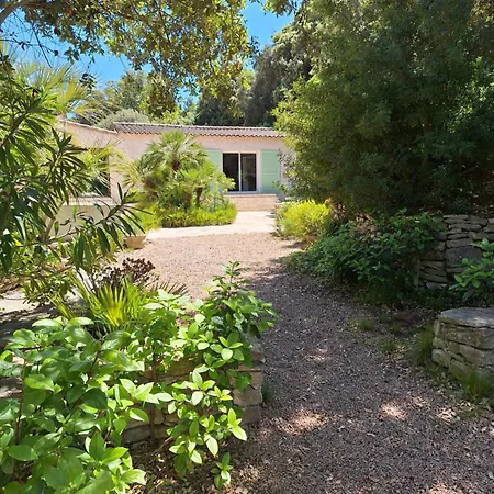 Gîte Acellu-3