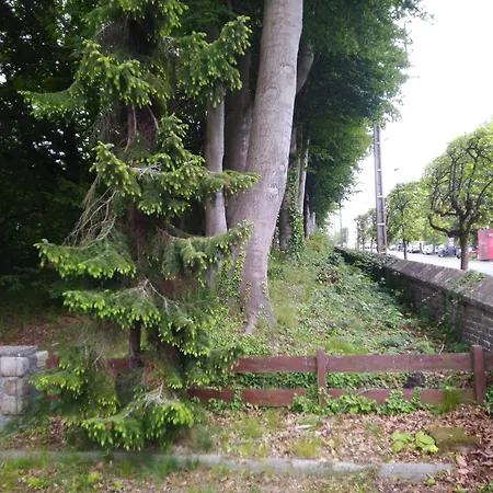 Le Domaine des Roches, auberge collective-2
