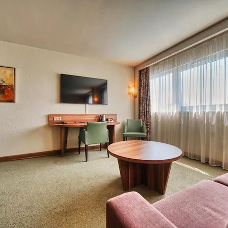 Kyriad Prestige Mulhouse - Basel-2