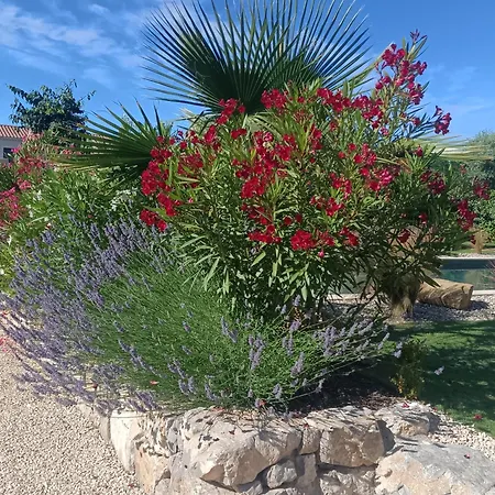 Douce Provence Magnifique appartement neuf avec jardin proche du centre ville-2