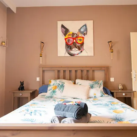 Appartement De 80M2 Le Breuil A Albi Classe 3 Etoiles-3