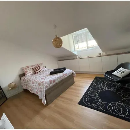 Grand Appartement Hypercentre avec Terrasse et Parking-2