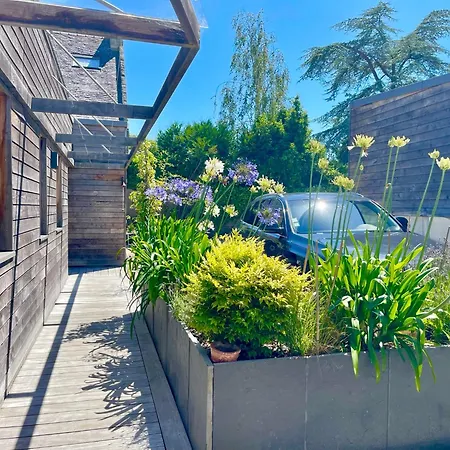 300 m Plage et Centre Ville - Parking Privatif et Gratuit sur Place - Terrasse Bois-2
