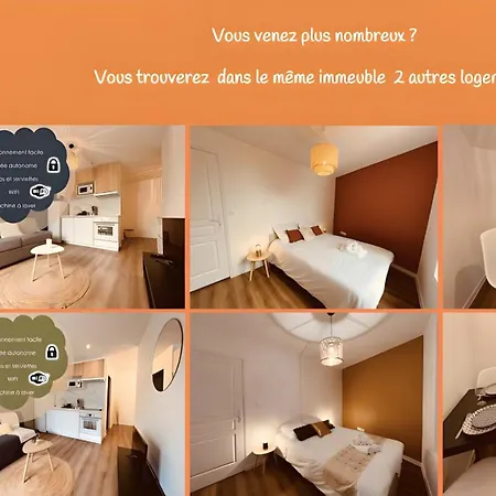 Le Wild Heaven - Home Homy-3