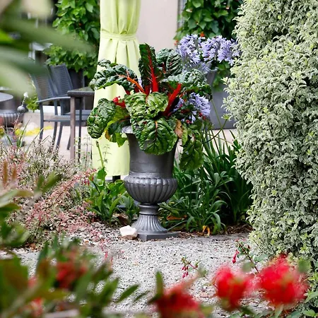Hotel Le Branhoc - Brit Hotel Auray-3