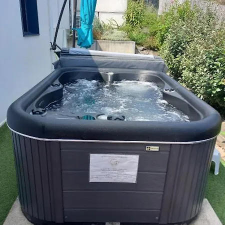 Villa Ginkgo Et Son Spa Privatif-2