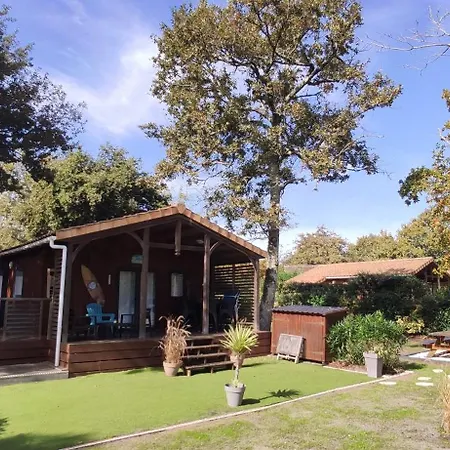 Chalet prestige au coeur du Bassin d'Arcachon-3