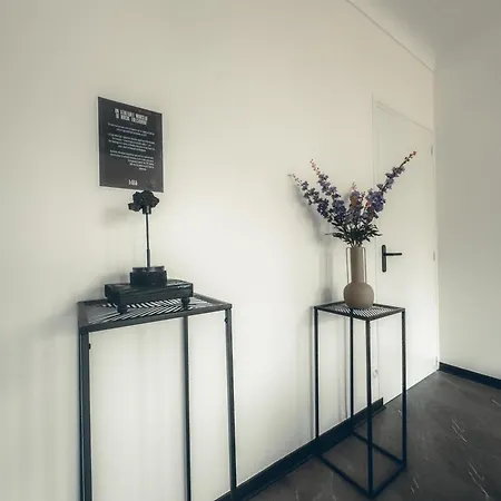 Lava Studio-2