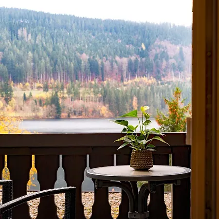 Treschers Schwarzwald Hotel-2