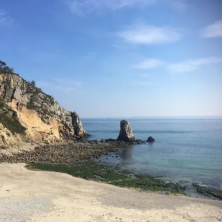 Ty Sea-2