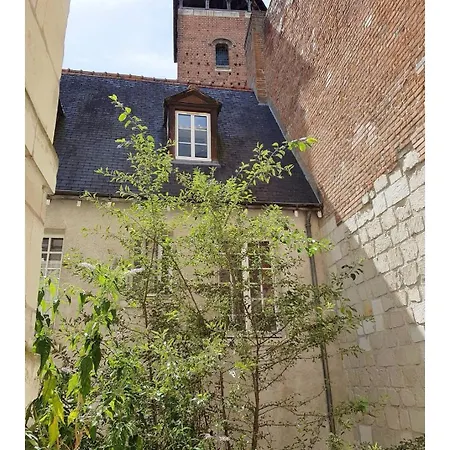 Au coeur du vieux Tours avec jardin-2