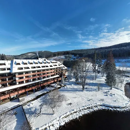 Maritim Titisee Hotel-3