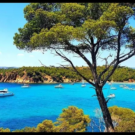 Appartement Bord de Mer La Faviere-2