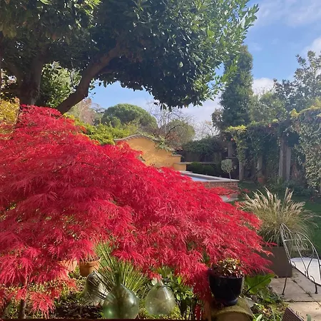 Le Rez de Jardin Albi-2