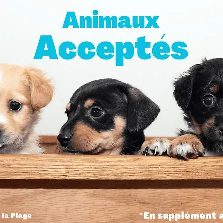 Appartement 2 Chambres Face Mer avec Balcon – 6 Pers, Parking, Animaux Acceptés - FR-1-323-246-2