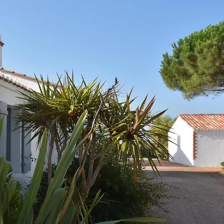Le Parc des Mimosas-3