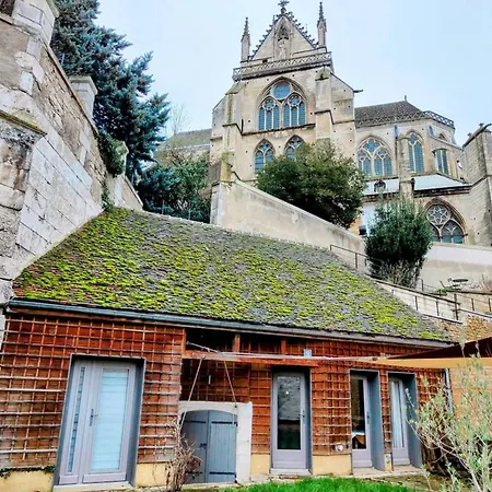 Saint Loup - Séjour à Auxerre-2