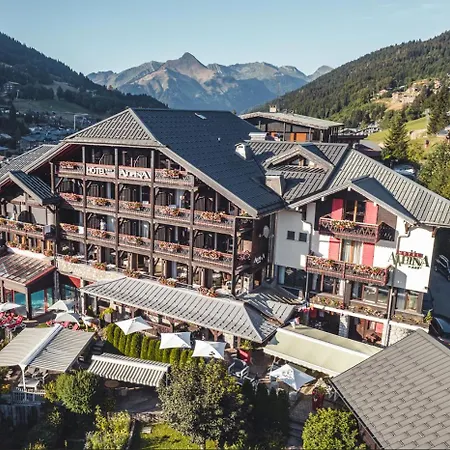 Hôtel Alpina-3