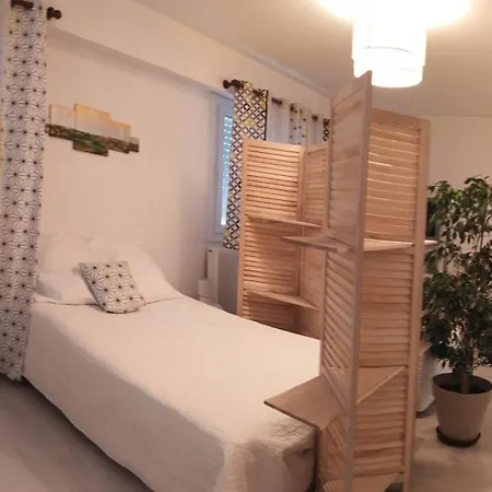 Grand Studio, Super Equipe, 2 Pas Du Centre-Ville "Clos-Du-Boulanger" - Parking Prive-3