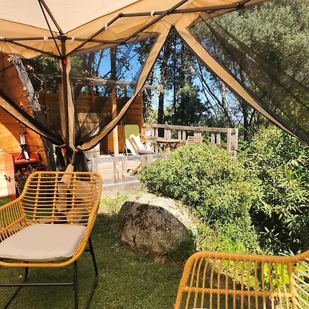 Chalet en bois avec Jacuzzi Privé et Piscine-2
