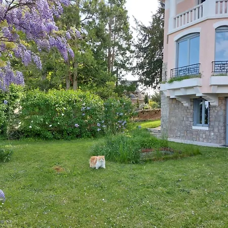 Le Bompard 50 m2 Villa Art Déco Plein centre avec jardin-3
