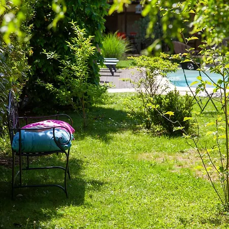O'Myosotis - 400m Centre Historique - Parking Gratuit - Piscine et Jardin-2