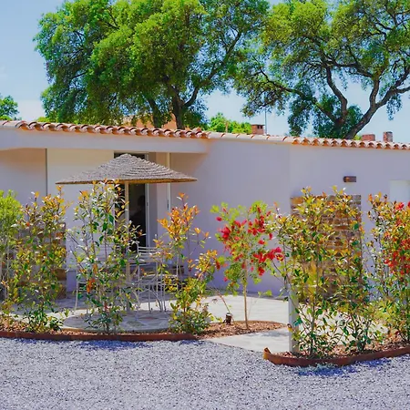 La Villa Nais PADEL&PISCINE -Suites&Appartements-2
