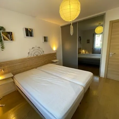 Appartement de standing avec jardin privatif, proche du lac et du centre, parking inclus - FR-1-239-583-2