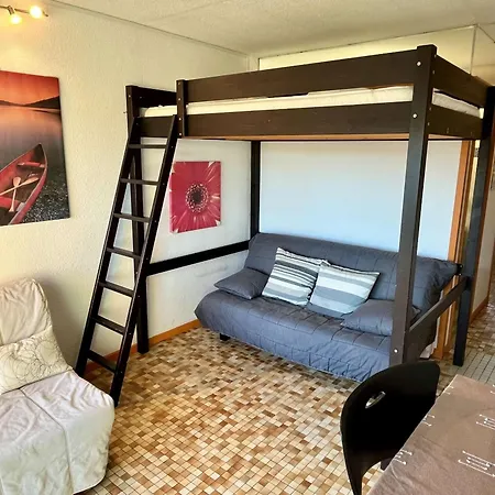 Studio Renove, Loggia Ensoleillee, 200M De La Plage, Animaux Permis - Argeles-Sur-Mer - Fr-1-225-116-2