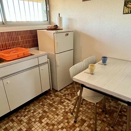 Studio Renove, Loggia Ensoleillee, 200M De La Plage, Animaux Permis - Argeles-Sur-Mer - Fr-1-225-116-3