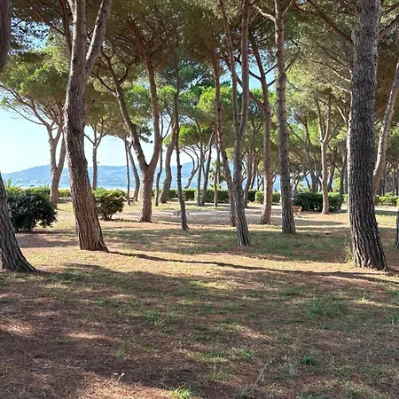 Mer Soleil Pinede-3