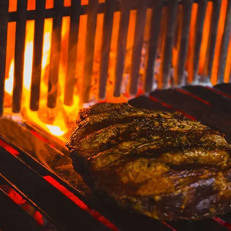 Logis Hotel Lons-le-Saunier - Restaurant Le Grill-3