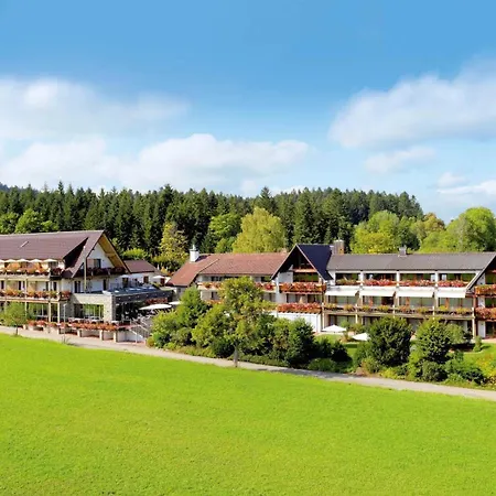 Hotel Gruener Wald-3