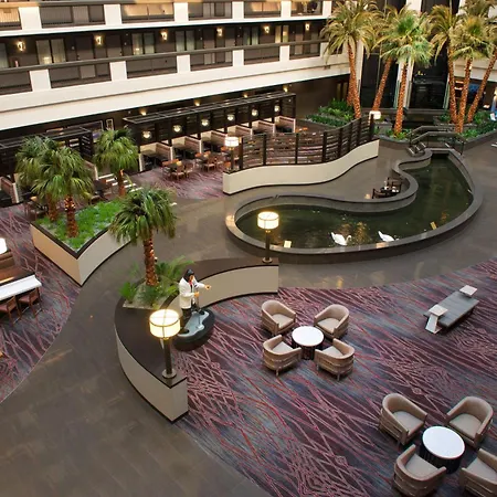 Embassy Suites By Hilton Las Vegas-3