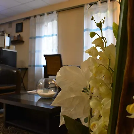 Hotel Inn Design Le Havre-2