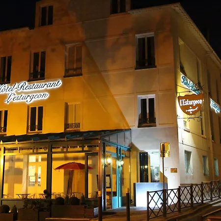 Hôtel L'Esturgeon-2