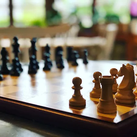 La Villa d'Hélène 2 - Chambres d'hôtes BnB et Appartements - Cluses-3