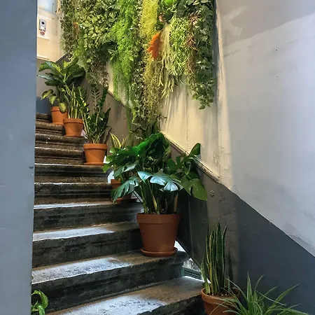 Serendipity-2