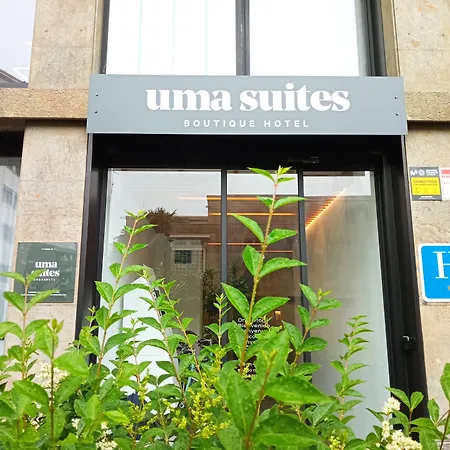 Colectia Hotel Ondarreta-3