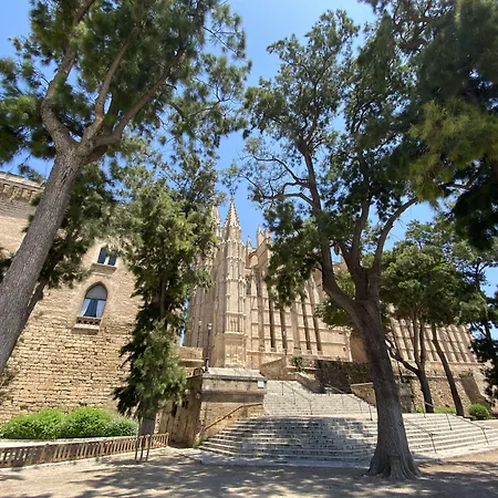 Vila Damunt-3