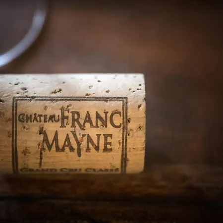 Le Relais de Franc Mayne Saint Emilion-2