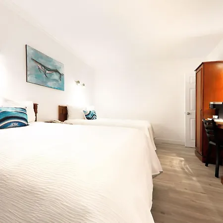 Hotel Plante-2
